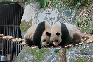 记者谈河南队：内部的事与外界的猜测不对称，职业足球只有面对