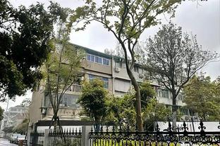 DW：莱曼破坏邻居家车库被判处10月缓刑，罚款42万欧